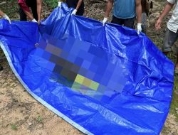 Penemuan Mayat Laki Laki Di Perkebunan Sawit, Gegerkan Warga Kecamatan Manis Mata