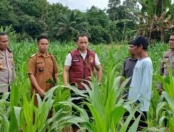 Dirreskrimum Polda Kalbar Kunjungi Kecamatan Banyuke Hulu Kegiatan Asistensi Ketahanan Pangan