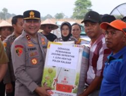 Dukung Ketahanan Pangan Nasional, Kapolda Kalbar Tanam Jagung Serentak 1 Juta Hektare di Bengkayang