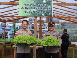Kapolres Kapuas Hulu Panen Sayuran Hortikultura di Perkarangan Bergizi