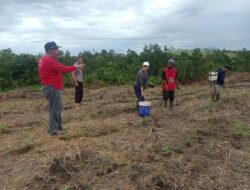 Langkah Proaktif Personel Polsek Dedai, Bantu Petani Dalam Proses Pemupukan Tanaman Pada Program Ketahanan Pangan
