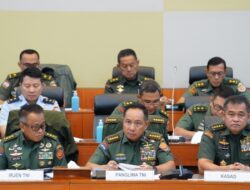 Revisi UU TNI untuk Perkuat Pertahanan Negara dan Profesionalisme Prajurit