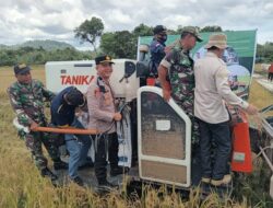 Sinergi Dukung Ketahanan Pangan, Kapolsek dan Forkopimcam Sengah Temila Hadiri Panen Raya Virtual
