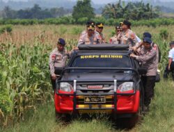 Kapolda Kalbar Tinjau Lokasi Panen Raya Jagung Serentak Tahap II Dan Pabrik Pengolahan Jagung di Bengkayang