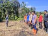 Bersihkan Lahan Untuk Tanam Jagung Di Menyuke