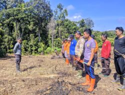 Bersihkan Lahan Untuk Tanam Jagung Di Menyuke