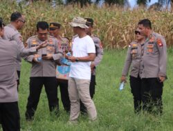 PJU Polda Kalbar Tinjau Persiapan Panen Raya Jagung Di Bengkayang  Sinergi TNI AU-Polri dan Dinas Terkait Dorong Ekspor ke Malaysia