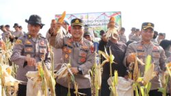 Kapolres Melawi Pimpin Panen Jagung