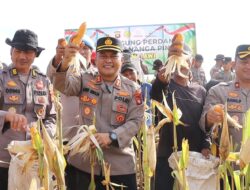 Kapolres Melawi Pimpin Panen Jagung