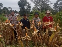 Lahan Tidur Bisa Jadi Sumber Penghasilan