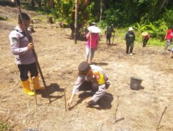 Kapolsek Sebangki Bersama BPP Dan Poktan Sumber Rezeki Laksanakan Penanaman Jagung 