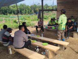 Kapolsek Nanga Tayap Dan KUPT Distanakbun Ketapang Tinjau Lahan Jagung Hibrida Sesuai CPCL