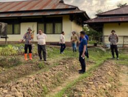 Pastikan Progres Penanaman Jagung Pamatwil Polda Kalbar Tinjau Lahan Di Perbatasan Sanggau