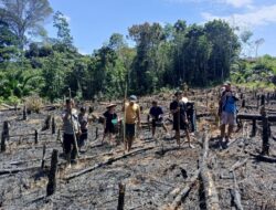 Polsek Nanga Mahap Dampingi Penanaman Jagung Di Lahan Warga 