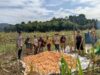 Ketahanan PaBintara Pengerakngan Desa Ringo Lojol Cek Dan Kontrol Tanaman Jagung