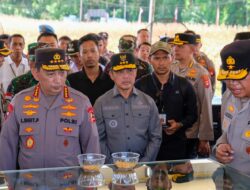 Jelang Panen Raya Jagung Kapolri Turun Langsung Cek Lokasi Ke Kalbar