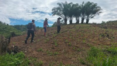 Ketahanan Pangan Menjadi Prioritas Polsek  Air Besar Gandeng Warga Garap Lahan