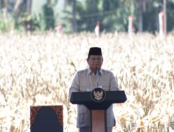 Presiden Prabowo Panen Jagung Di Kalbar Target Swasembada Pangan Dimulai Dari Sini