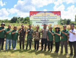 Dandim 1205/Sintang Ikuti Panen Raya Jagung Kuartal II Serentak 