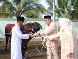 Shalat Idul Adha 1446 H/2025 M Dan Penyembelihan Hewan Kurban Pangdam XII/Tpr Ajak Teladani Ketaatan Nabi Ibrahim