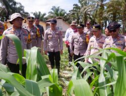 Kapolres Landak Minta Maksimalkan SOP Di Lahan Demplot 4 Hektare Tiap Polsek