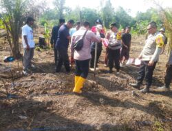 Penanaman Jagung Tahap 2 Di Poktan Mekar Baru Resmi Dimulai