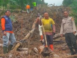 Kelompok Tani Ayo Maju Laksanakan Tanam Jagung Periode Juni 2025 Dukung Program 1 Juta Hektar Untuk Ketahanan Pangan Nasional
