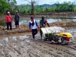 Babinsa Operasikan Transplanter Bantu Petani Tanam Padi Di Kecamatan Tewah