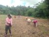 Dukung program Asta cita warga Sabaka Bertanam Jagung