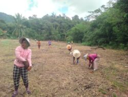 Dukung program Asta cita warga Sabaka Bertanam Jagung