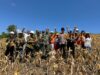 Kapolsek Sandai Bersama Anggota Dan Kelompok Tani Binaan PT Lingga Tejawana Panen Jagung Hibrida