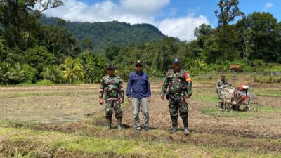 Kodim 1206 Putussibau Yakinkan Koramil 14 Hulu Gurung Dorong Brigade Pangan Lubuk Antuk Indek Penanaman Padi Ke-3