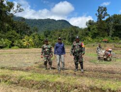 Kodim 1206 Putussibau Yakinkan Koramil 14 Hulu Gurung Dorong Brigade Pangan Lubuk Antuk Indek Penanaman Padi Ke-3