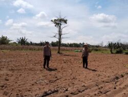 Kapolsek Kendawangan Tinjau Lahan Persiapan Tanam Serentak Di Kelompok Tani Maju Selaras
