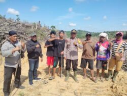Kapolsek Simpang Dua Tanam Jagung Hibrida Di Lahan Kelompok Tani Dua Makmur