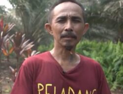 Hutan Adat Habis Masyarakat Adat Terdesak Kami Tak Punya Ruang Hidup Lagi