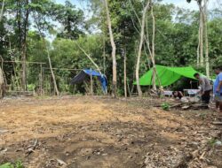Unit Reskrim Polsek Sepauk Bongkar Arena Judi Sabung Ayam Di Desa Sekubang