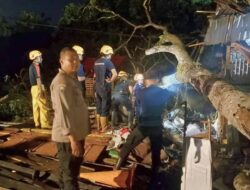 Polisi Dan Damkar Evakuasi Pohon Tumbang yang Timpa Warung Kopi Warga Di Kubu Raya
