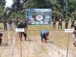 Wakil II Dprd KH Bersama Koramil 1206-14 Hulu Gurung Bentuk Pasukan Brigade Pangan