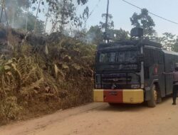 Kebun Karet Dan Sawit Terbakar Di Sanggau Tim Gabungan Butuh Waktu Panjang Padamkan Api
