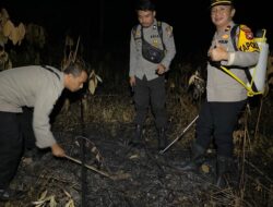 Quick Respon Polsek Mempawah Hulu dlDatangi Titik Hotspot Karhutla