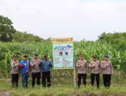 Kunjungi Ketapang Tim Asistensi Ketahanan Pangan Polda Kalbar Tinjau Progres Penanaman Jagung Di Kecamatan Benua Kayong Dan Kecamatan Muara Pawan