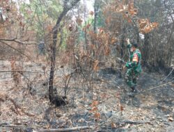Kodim 1204/Sanggau Patroli karhutla Bahu Membahu Padamkan Titik Api Di Wilayah Kabupaten Sanggau