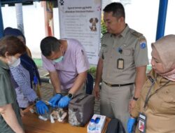 Vaksinasi Rabies Digelar Sebagai Upaya, provinsi DKI Jakarta Bebas Rabies.