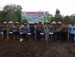 Bersama Pesantren  Polres Landak Wujudkan Ketahanan Pangan Lewat Jagung