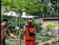 Lurah Grogol Selatan menyulap Lahan Tidur Menjadi Produktif