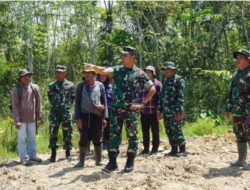 Tingkatkan Produktifitas Hasil Pertanian Pamen Ahli Pangdam XII/Tpr Tinjau Program Oplah Di Wilayah Kodim Putussibau