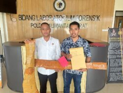 Dua Pelaku Diduga Lakukan Serangkaian Aksi Pembakaran Rumah Dan Penembakan Di Kecamatan Air Upas Telah Diamankan Polres Ketapang