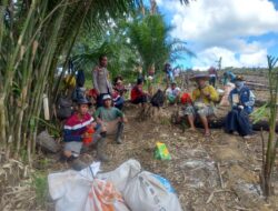 Penanaman Jagung Serentak 1 Desa 1 Hektar Di Desa Kayu Ara Kecamatan Menyuke