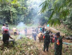 Kodim 1209/Bengkayang Dan Warga Laksanakan Pembersihan Saluran Air
